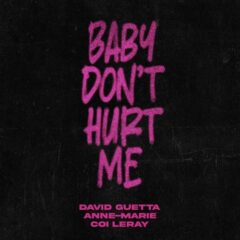 DAVID GUETTA & ANNE MARIE & COI LERAY - Baby don't hurt me