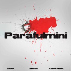 ERNIA FT BRESH CON FABRI FIBRA - Parafulmini