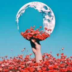 Federico Rossi - Fiore sulla luna