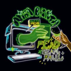 Feid, Sean Paul - Niña Bonita