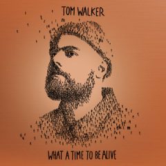 TOM WALKER FT MASKED WOLF - Something beautiful