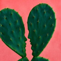 Willie Peyote - NEXT